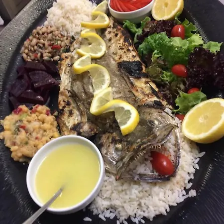 Lejlighedshotel Enalion Kala Nera